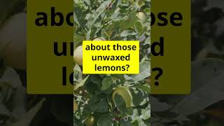 Waxed vs Unwaxed Lemons The Truth [upl. by Andi70]