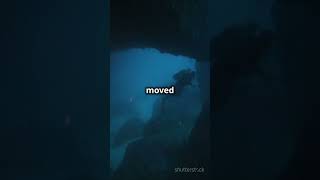 Terrifying Scuba Dive Only One Survivor [upl. by Chari]