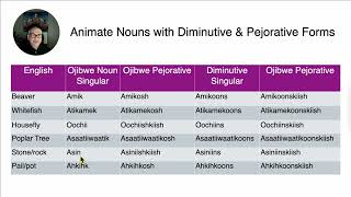 Severn Ojibwe Pejoratives [upl. by Ursi355]