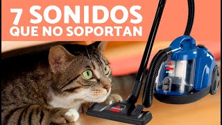 7 SONIDOS que más ODIAN los GATOS🐱🔊❌ ¡No los Soportan [upl. by Gintz]