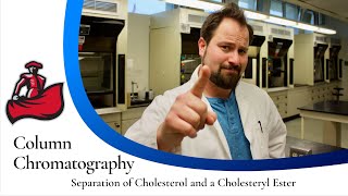 Column Chromatography of Cholesterol and a Cholesteryl Ester [upl. by Chrystal36]