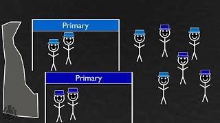 Primary Elections Explained [upl. by Babs]