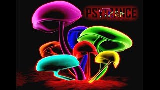 Psychedelic Progressive Psytrance  Extensions sET 08 2017 [upl. by Ahsennod]