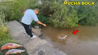 ESTE HOMBRE TIRO UNA LÍNEA DE PESCA EN ESE LUGAR Y ESO PESCO Río Paraná [upl. by Keelin]