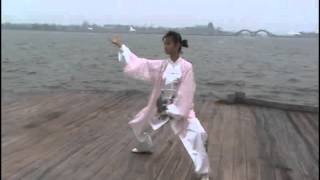 Yang Style 40 Taijiquan [upl. by Henri]