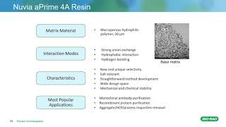 AAV Purification Using AEX and MixedMode Chromatography [upl. by Regine263]