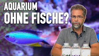 Nährstoffe im Meerwasseraquarium regulieren  So funktionieren die ATI Nutritions [upl. by Yendor240]