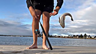 flathead fishing off a beach  anyone can do this [upl. by Sanjay]