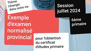 Exemple dexamen normalisé Session Juillet 2024 6ème primaire selon le cadre référence 2024 [upl. by Pantin]