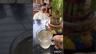 Homemade Preworkout drink by niteshsoni  High energetic drink ytshorts trending preworkout [upl. by Zia921]