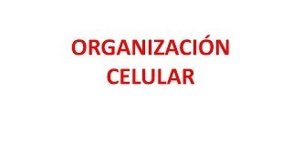 Organización celular [upl. by Nisotawulo949]