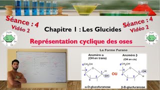 Séance 4  Vidéo 2  cyclisation des aldoses  formation de furanoses [upl. by Maynord]