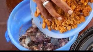 How to Make Fish Amino Acid Fertilizer Malayalam [upl. by Auqeenwahs]