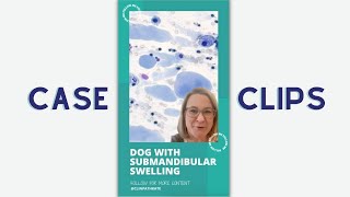 Cytology Case Clips Dog with Weird Submandibular Swelling [upl. by Williams]