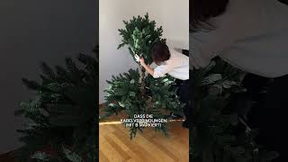 Weihnachtsbaum mit Beleuchtung aufstellen  VIVANNO Aufbauanleitung [upl. by Feola]