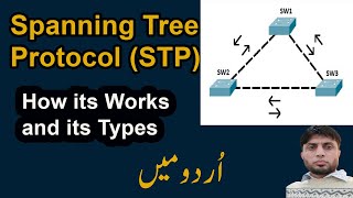 Spanning Tree Protocol STP  How its Works amp its Types [upl. by Haelat197]