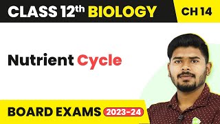 Class 12 Biology Chapter 14  Nutrient Cycle  Ecosystem 202223 [upl. by Tymothy]