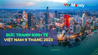 Bức tranh kinh tế Việt Nam 9 tháng đầu năm  VTVMoney [upl. by Elbertina904]