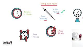 Types of Insulin and How It Works [upl. by Dnomyar]