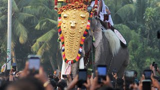 പാർക്കാടി പൂരപ്പറമ്പിലേക്ക് രാമന്റെ രാജകിയ വരവ് venjamaram thechikottukavuramachandran [upl. by Ahsiruam822]