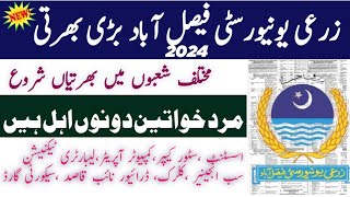 Agriculture University Faisalabad jobs 2024  New jobs 2024 in Pakistan today  Latest jobs 2024 [upl. by Arlie630]