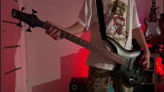 Nocny Kochanek  Dziabnięty bass cover [upl. by Nyroc]