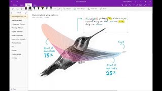 How to Become a Microsoft Onenote Expert  Detailed Tutorial Onenote [upl. by Hannej538]