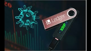 XRP News Warning 2400 worth of XRP stolen from Ledger wallet by using Google Chrome extension [upl. by Frasch401]