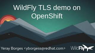 WildFly TLS demo [upl. by Cho]