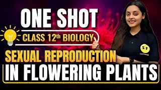 Sexual Reproduction in Flowering Plants One Shot Biology  Class 12th Biology with Sonam Maam [upl. by Yehsa]