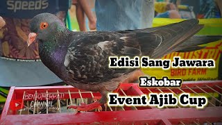 EDISI SANG JAWARA ESKOBAR EVENT AJIB CUP DI LAPKOL LEGEND SLAMARAN PEKALONGAN [upl. by Noseyt]