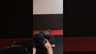 Darce choke from turtle bjj mma jiujitsu grappling [upl. by Enelrac]