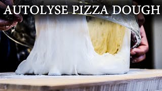 No Music How To Make Perfect Neapolitan Pizza Dough With Autolyse  Autolyse Pizza Dough Recipe [upl. by Badr971]