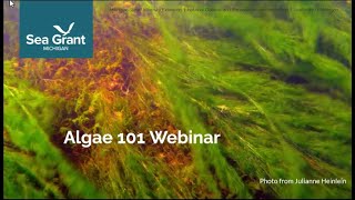 Michigan Algae 101 Webinar 2024 [upl. by Mezoff640]