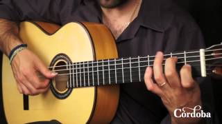 Cordoba Guitars  F10 Flamenco [upl. by Elamor]