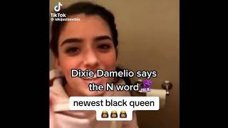 Dixie Damelio saying the N word [upl. by Heuser981]