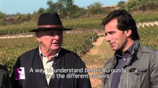 Discovering great white wines from PulignyMontrachet with Olivier Leflaive [upl. by Nyer]