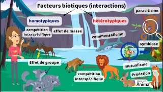 Facteurs biotiques interactions entre les espèces [upl. by Stephannie]