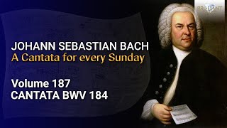 JS Bach Erwünschtes Freudenlicht BWV 184  The Church Cantatas Vol 187 [upl. by Lliw43]