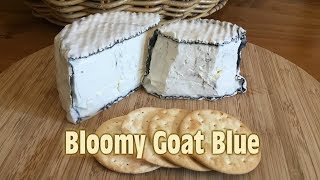 Bloomy Goat Blue with Taste Test [upl. by Parthenia]