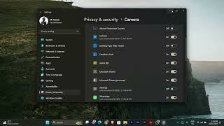 How To Fix LG Webcam Not Working in Windows 11 2024 [upl. by Smiga]