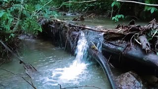 Calming River Sounds for Sleep  ASMR Water Ambience for Restful Night [upl. by Armillas]