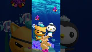 quotUnleashing Adventure Join the Octonauts on Epic Underwater Expeditionsquot  The Octonauts [upl. by Greff]