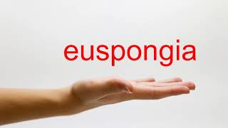 How to Pronounce euspongia  American English [upl. by Urina658]