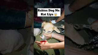 Rabies Dog Ne Kat Liya 😱  minivlog [upl. by Eagle]