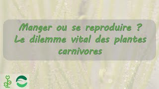 Manger ou se reproduire  le dilemme vital [upl. by Nahgrom]