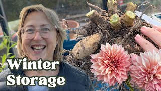 How to Store Dahlias Over Winter The Ultimate Guide [upl. by Nediarb]