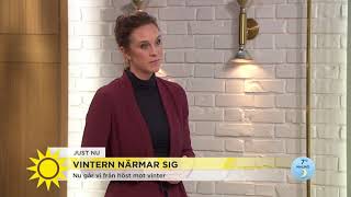 Vintern närmar sig  Nyhetsmorgon TV4 [upl. by Lally689]