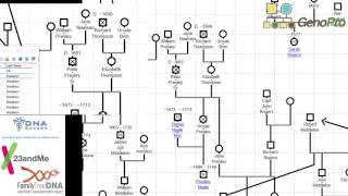 genealogy work on genopro [upl. by Nim]