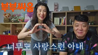 부부싸움 끝판왕 너무도 사랑스런 아내 [upl. by Fonz]